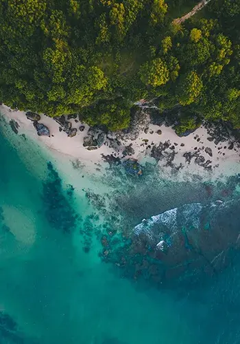  ELVIAL PRE-ANODIZING 2IN1